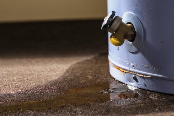 Best Emergency water damage restoration  in Delavan Lake, WI