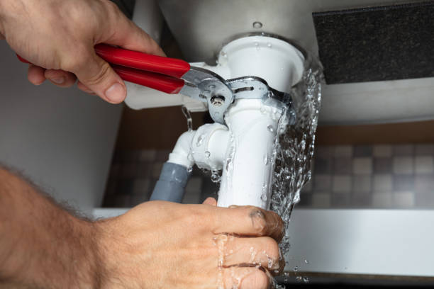 Best Mold removal after water damage  in Delavan Lake, WI