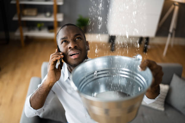 Best Ceiling water damage repair  in Delavan Lake, WI