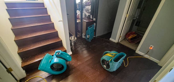 Best Local water damage restoration  in Delavan Lake, WI