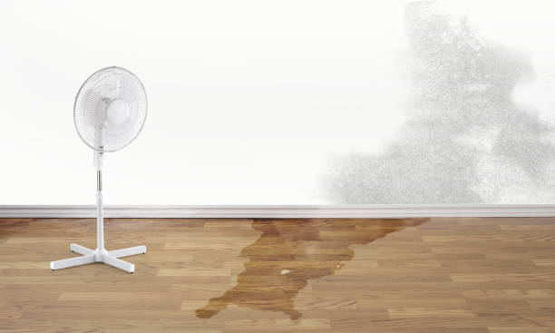 Best Local water damage restoration  in Delavan Lake, WI