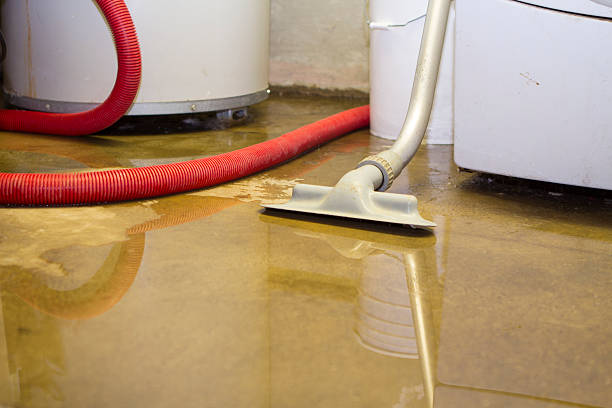 Best Water damage restoration specialists  in Delavan Lake, WI