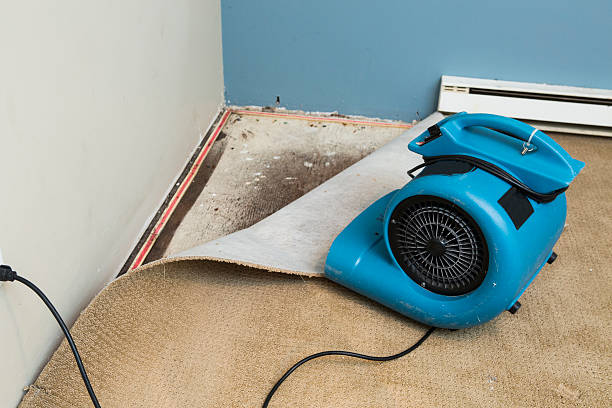 Best Basement water damage restoration  in Delavan Lake, WI
